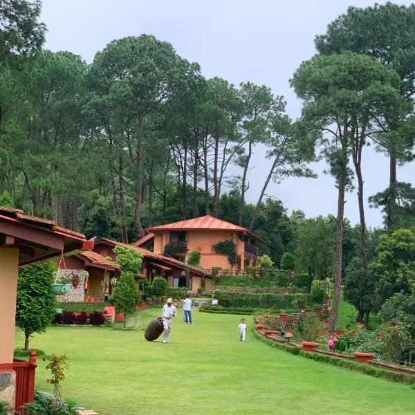 Cottage And Ground Area