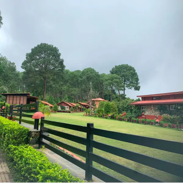 Greenery