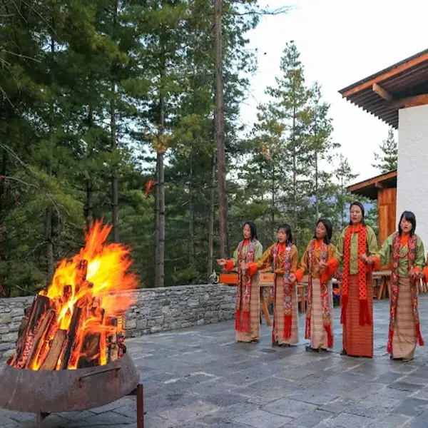 Paro