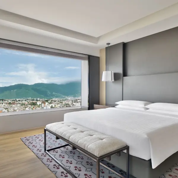 Presidental Suit With Mountain Face