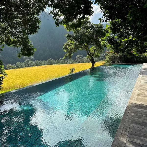 Swimming Pools