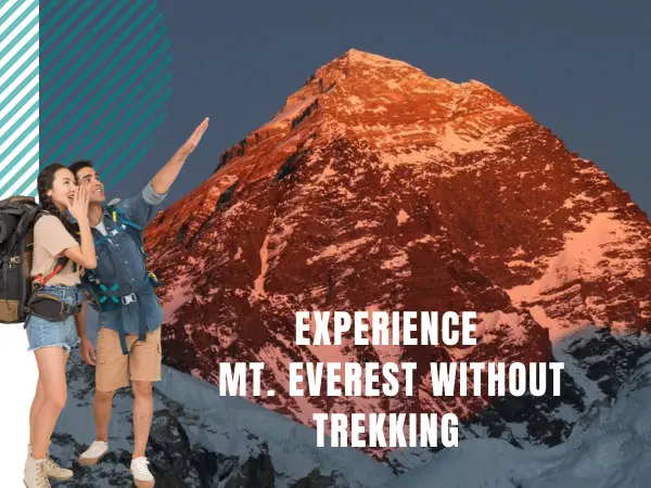 everest without trekking