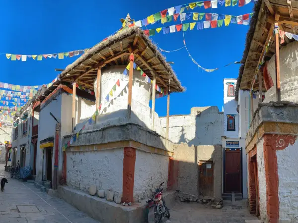 Mustang Street